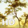 Europ&auml;ische Malerei HD Icon