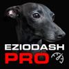 EzioDashPro Icon