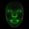 Face Mesh Icon