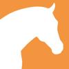 Fair zum Pferd Dressur-Studien Icon