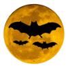 Field Guide to Australian Bats Icon