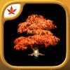 Fire Maple Games - Collection Icon
