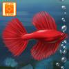 Fish Tycoon Icon