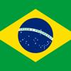 Flags Go Icon