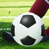 Football Career - Soccer Games Icon