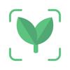 Free Plant Identifier Icon