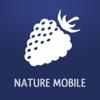 Früchte und Beeren PRO Icon