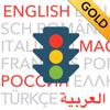 Führerschein 2025 GOLD Icon