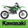 Gemischbild Kawasaki 2T Moto Icon