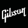 Gibson: Learn to Play Guitar Icon