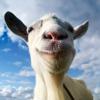 Goat Simulator Icon