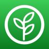 Gordian Seed Tool Icon
