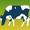 Grazing Calculator Icon