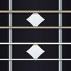 Guitar Toolbelt: Stimmger&auml;t Icon