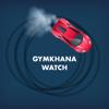 Gymkhana Watch: Drifting game Icon