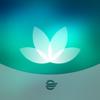 HealtheLife Icon