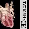Heart Pro III - iPhone Icon