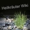 Heilkräuter Wiki Icon