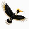Hornbills Icon