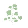 HRT Patch Tracker Icon