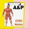 Human Anatomy & Physiology A&P Icon