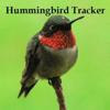 Hummingbird Tracker Icon