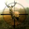 Hunting Simulator Icon
