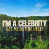 I'm A Celebrity... Icon