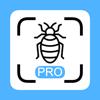 Insect Scanner Pro Icon