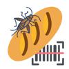 Insekten in Lebensmitteln Icon