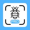 Insekten Scanner Pro Icon