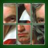 Jigsolitaire Icon