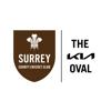 Kia Oval Icon