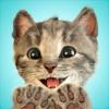 Kleines Kätzchen Katzen-Spiele Icon