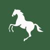Laminitis Checker Icon