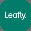 Leafly: Find Weed Near You Icon