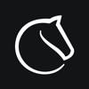 Lichess Icon