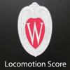 Loco Score Icon
