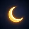 Lunawise Icon