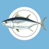 MadeiraFish Icon