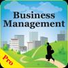 MBA Business Management Icon