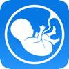 Meine Schwangerschafts-App PRO Icon