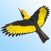 Morcombe & Stewart Guide Icon