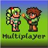 Multiplayer Terraria edition Icon