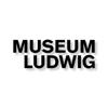 Museum Ludwig Icon