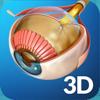 My Eye Anatomy Icon