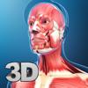 My Muscle Anatomy Icon