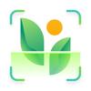 My Plant: KI-Identifizierung Icon