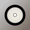 mySpotMeter Icon