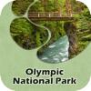 National Park Olympic Icon